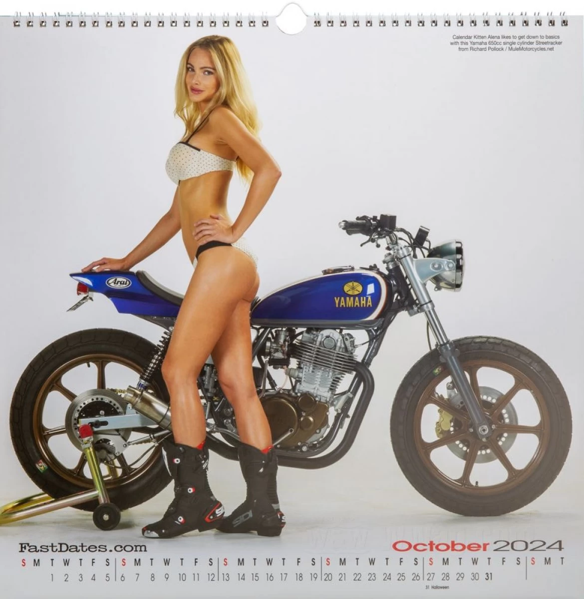 TACHIBANA FUMIO PRO. 2024 CALENDAR - カレンダー・スケジュール